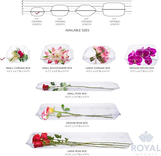 Royal Imports 100 Pack Clear Plastic Flower Box for Corsage, Boutonniere, Rose, Orchid Prom Wedding Craft Container 5x4x3