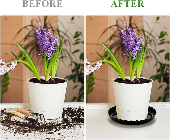 15 Pcs Plant Saucer Set, 6, 8, 10 Inch Plastic Pot Trays, Flower Planter Saucers, Drip Trays for Indoor/Outdoor, Sturdy Plant Plate Water Catcher (Black)