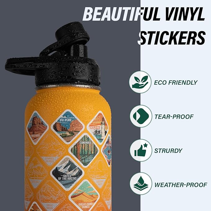 32 oz Insulated Water Bottle | Thickened Stainless Steel Vacuum Metal | Portable Sports Water Jug for Gym and Hiking with Straw, Carrier Bag, Handle Strap | BPA-Free 32 oz
