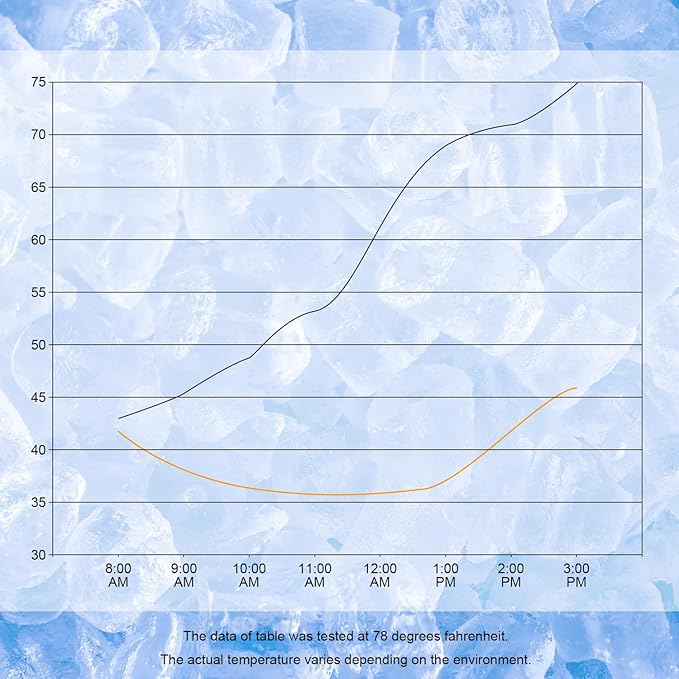 Cerbonny Small Lunch Box, Mini Cooler Bag with Buckle Handle, Insulated for Work, School, Travel - Pink Unicorn