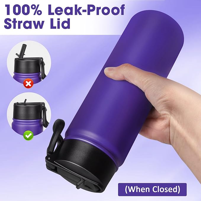 24 oz Insulated Water Bottle with Straw, Stainless Steel Double Wall Vacuum Thermos with Straw Lid Leak Proof, Wide Mouth Lid, Keep Cold and Hot