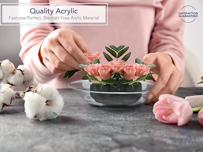 Royal Imports 10" Clear Plastic Saucer Plant Drip Tray, Deep Pie Plate, Floral Flower Dish, Wedding, Party, Home and Holiday Decor, 6 Pack