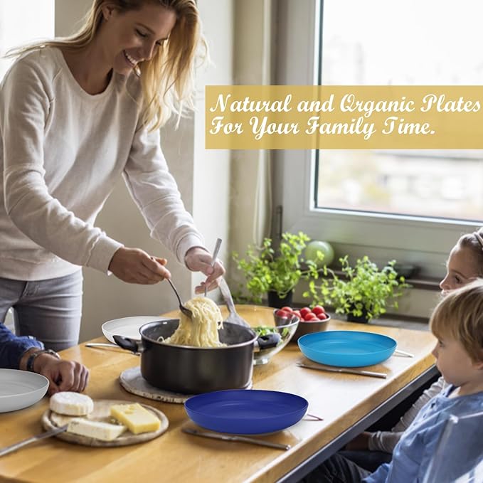 Wrova Wheat Straw Plates - 10 Inch Unbreakable Dinner Plates Set of 8 - Dishwasher & Microwave Safe Plastic Plates Reusable - Plates easy to clean for kitchen,camping.White-Grey-Blue, Island Series