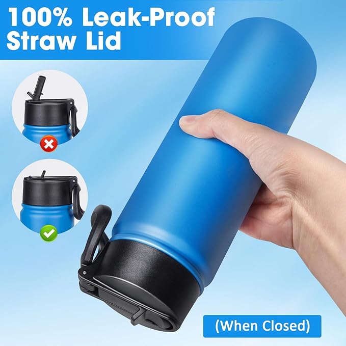24 oz Insulated Water Bottle with Straw, Stainless Steel Double Wall Vacuum Thermos with Straw Lid Leak Proof, Wide Mouth Lid, Keep Cold and Hot