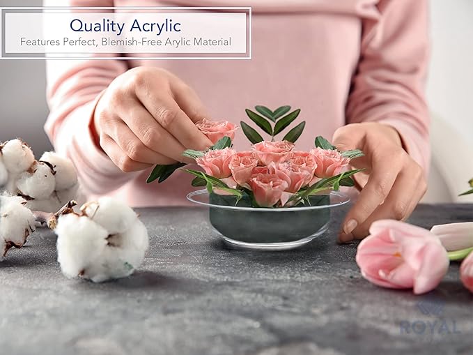 Royal Imports 8" Clear Plastic Saucer Plant Drip Tray, Low Pie Plate, Floral Flower Dish, Wedding, Party, Home and Holiday Decor, 6 Pack