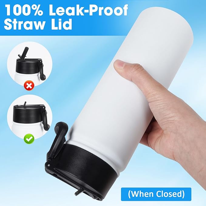24 oz Insulated Water Bottle with Straw, Stainless Steel Double Wall Vacuum Thermos with Straw Lid Leak Proof, Wide Mouth Lid, Keep Cold and Hot