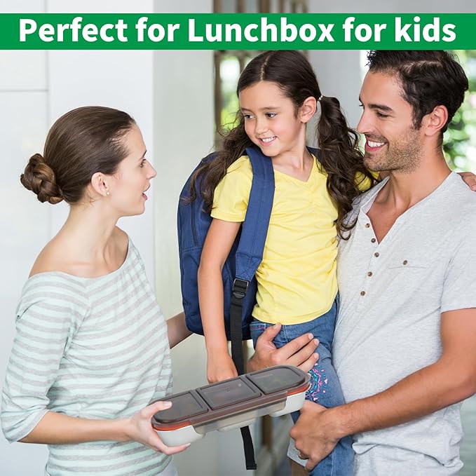 Stainless Steel Snack Containers, 3-Compartment Metal Snackle Box for Kids & Adults, Grey Reusable Condiment Box with Lids, Divided Food Storage Container for School, Work, Home & Travel