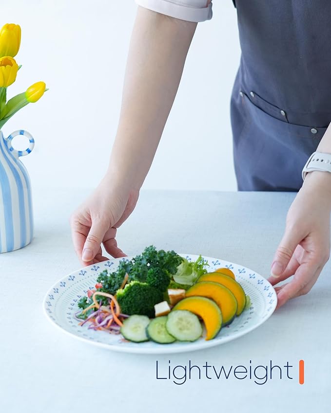 10.5 inch Dinner Plate Set of 6, Lightweight Round Opal Glass Dinnerware Plates, Dishwasher and Microwave Safe, Navy Geometric Floral Mandala Pattern