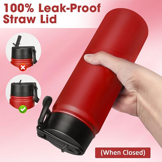 24 oz Insulated Water Bottle with Straw, Stainless Steel Double Wall Vacuum Thermos with Straw Lid Leak Proof, Wide Mouth Lid, Keep Cold and Hot