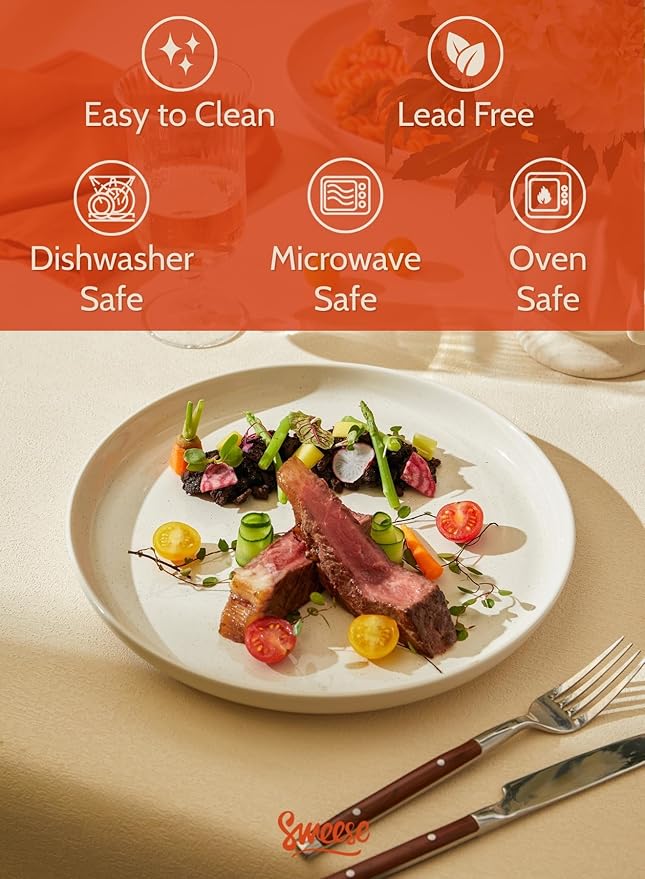 Sweese Porcelain Dinner Plates Set, 10 Inch, Round Salad Plates, Dove Gray - Dishwasher, Microwave Oven Safe