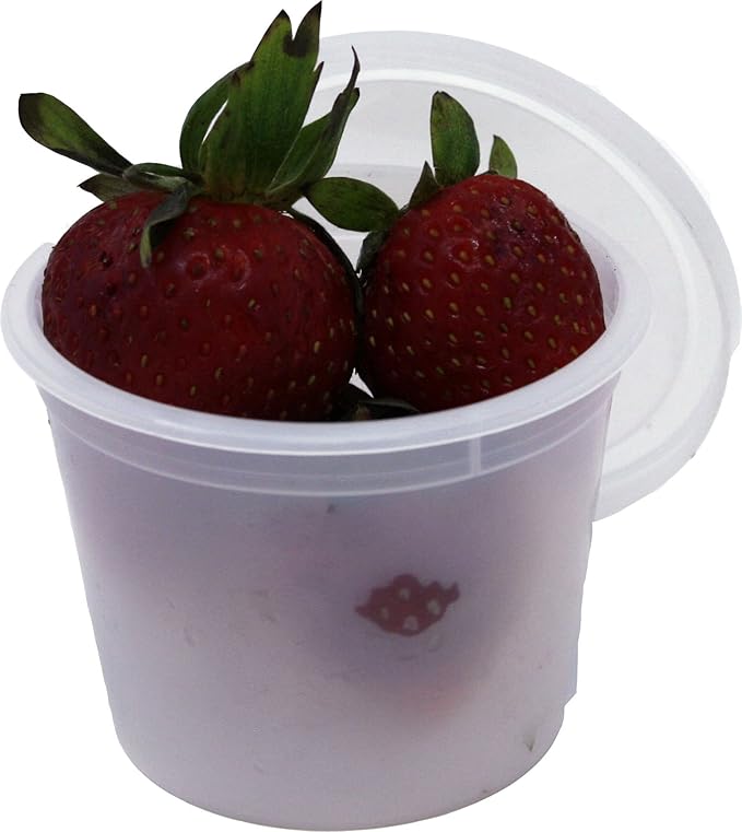 Vito's Famous Deli Container with Lid, 4 Ounce (Pack of 100)