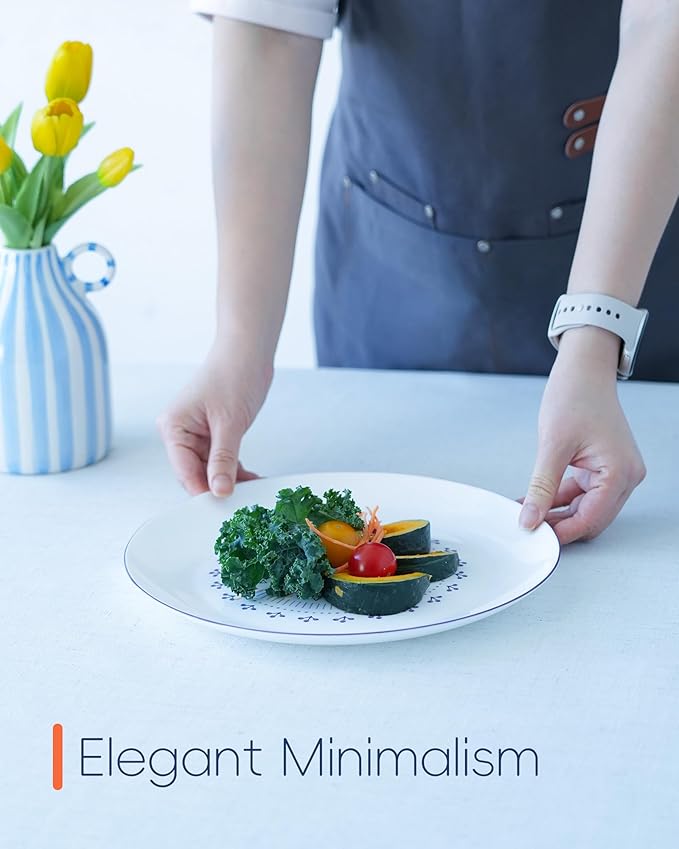 10.5 inch Dinner Plate Set of 6, Lightweight Round Opal Glass Dinnerware Plates, Dishwasher and Microwave Safe, Lavender Purple