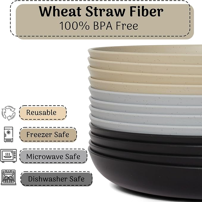 12PCS Unbreakable Dinner Plates, Dishwasher & Microwave Safe Plastic Plates Reusable, Lightweight Wheat Straw Plates for Kitchen (Simplicity, 9 In.)