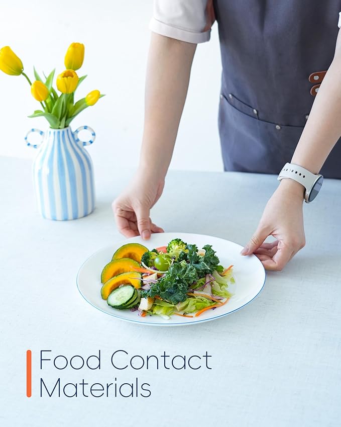 10.5 inch Dinner Plate Set of 6, Lightweight Round Opal Glass Dinnerware Plates, Dishwasher and Microwave Safe, Hand Painted Navy Blue Rim