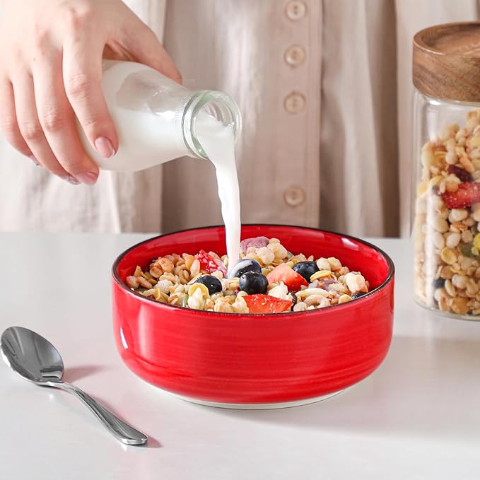 vancasso Bonita Dinnerware Sets 24 Pieces, Stoneware Dishes Set for 6, Dinner Platers with Bowls Set, Dinshwasher and Microwave Safe, Multicolor