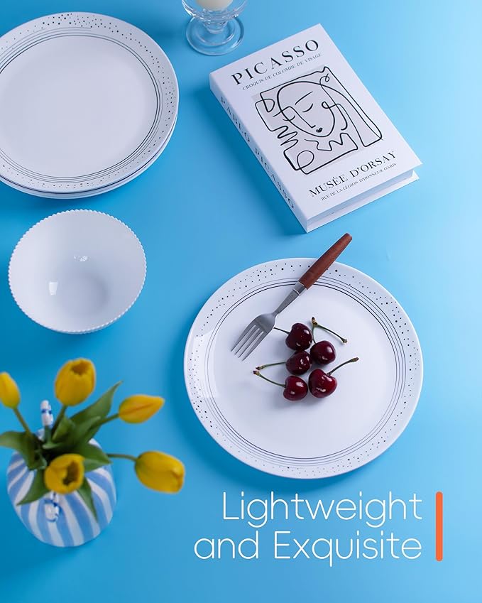 10.5 inch Dinner Plate Set of 6, Lightweight Round Opal Glass Dinnerware Plates, Dishwasher and Microwave Safe, Black Modern Speckled Design