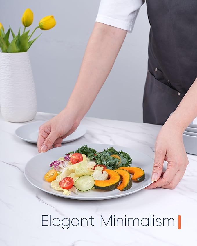 10.5 inch Dinner Plate Set of 6, Lightweight Round Opal Glass Grey Dinnerware Plates, Dishwasher and Microwave Safe