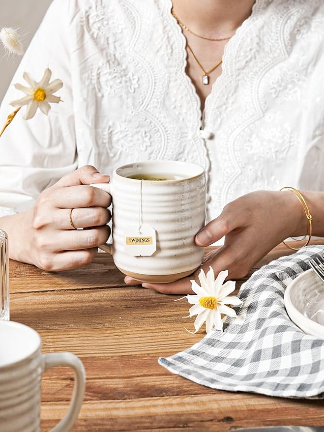 LE TAUCI Dinnerware Sets 16 PCS, Stoneware Plates and Bowls Set, House Warming Wedding Present, Serve for 4 (10" Dinner Plates + 8" Salad Dish + 28 oz Cereal Bowl+12oz coffee mugs) x 4, Arctic White