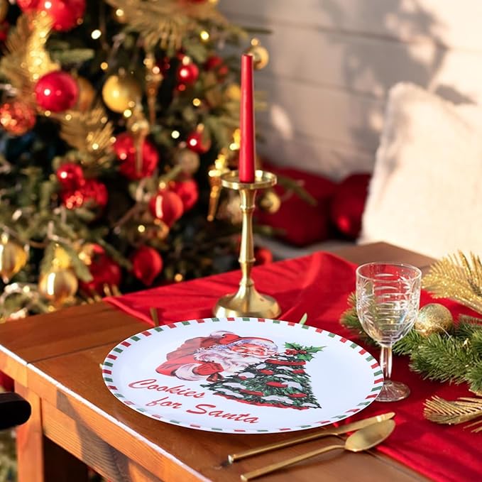 10-Inch Christmas Melamine Dinner Plates, 12-Piece Dishes Set, Lightweight & Stackable for Holidays& Decor‌ Party plates, Ideal for Salad,Dessert,Fruit and Cakes