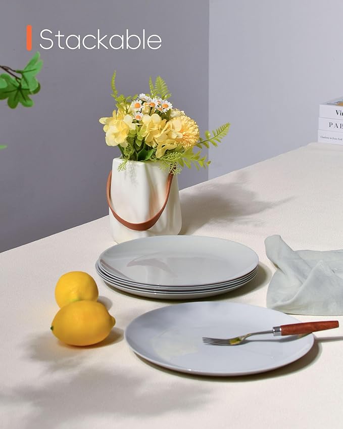 10.5 inch Dinner Plate Set of 6, Lightweight Round Opal Glass Grey Dinnerware Plates, Dishwasher and Microwave Safe