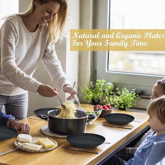 Wrova Wheat Straw Plates - 10 Inch Unbreakable Dinner Plates Set of 8 - Dishwasher & Microwave Safe Plastic Plates Reusable - Lightweight Plate for kitchen,camping (Pure Black)