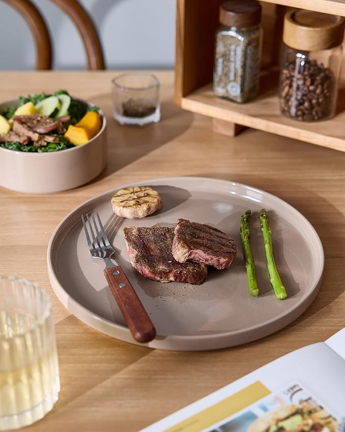 Famiware Nebula Plates and Bowls Set, 12 Pieces Dinnerware Sets, Dishes Set for 4, Cinnamon Brown