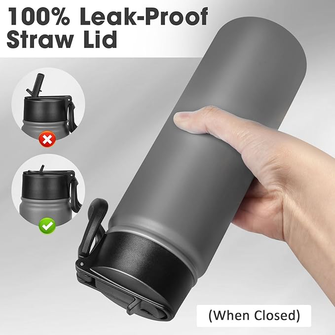 24 oz Insulated Water Bottle with Straw, Stainless Steel Double Wall Vacuum Thermos with Straw Lid Leak Proof, Wide Mouth Lid, Keep Cold and Hot
