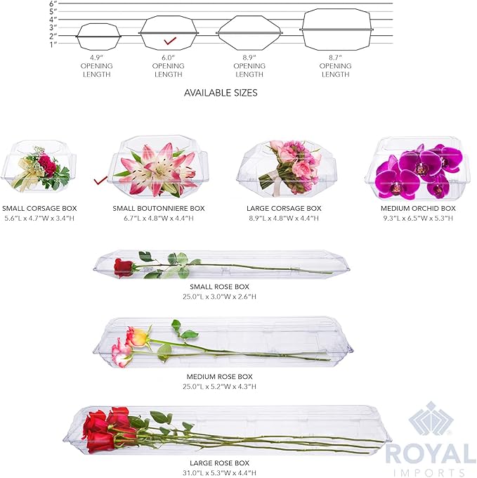 Royal Imports 50 Pack Clear Plastic Flower Box for Corsage, Boutonniere, Rose, Orchid Prom Wedding Craft Container 6x5x4