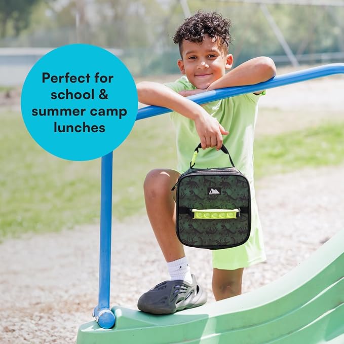 Arctic Zone Pop-it Kids Lunch Box Combo with Sensory Pop Handle, 210g Ice Pack, and Sandwich Container, Dino Skeleton Dye