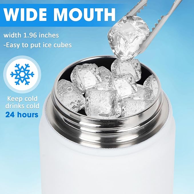 24 oz Insulated Water Bottle with Straw, Stainless Steel Double Wall Vacuum Thermos with Straw Lid Leak Proof, Wide Mouth Lid, Keep Cold and Hot