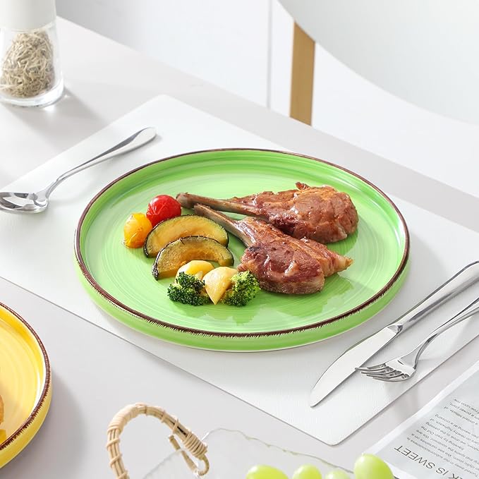 vancasso Bonita 10.5 Inch Dinner Plates, Ceramic Dinner Plate Set, Dinner Plates Set of 6, Large Dinnerware Plates for Kitchen, Microwave, Oven and Dishwasher Safe, Multicolor