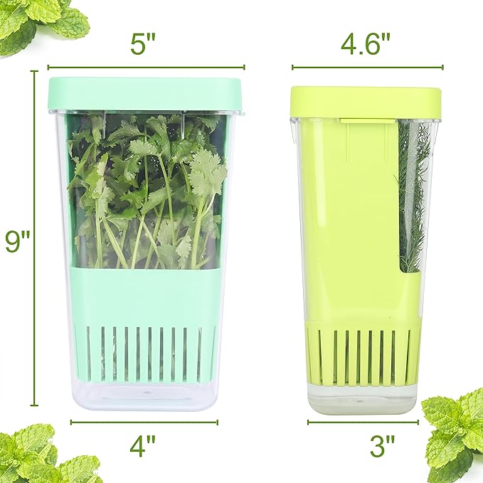 2 Pack Fresh Herb Keeper for Refrigerator, Clear BPA-Free Herb Saver, Storage Container for Cilantro, Parsley, Thyme, Mint & Asparagus, Preserver Keeps Fresh Herbs for 3 Times Longer