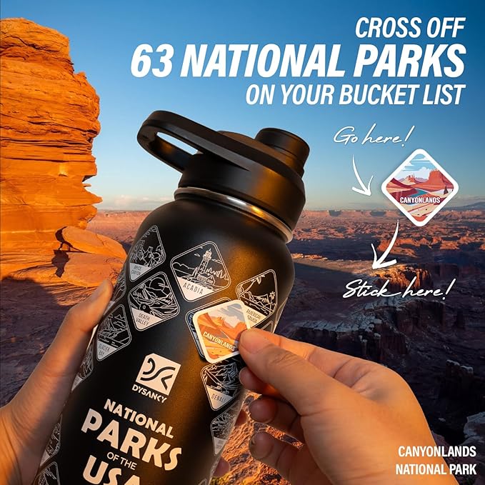 32 oz Insulated Water Bottle | Thickened Stainless Steel Vacuum Metal | Portable Sports Water Jug for Gym and Hiking with Straw, Carrier Bag, Handle Strap | BPA-Free 32 oz