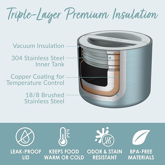 Bentgo Stainless Insulated Food Container - 2.4 Cups (19 oz), Triple-Layer Insulation, Vacuum Seal, Leak-Proof, Built-In Handle, Wide Opening, Premium Stainless Steel, for Cool/Warm Foods (Aqua)