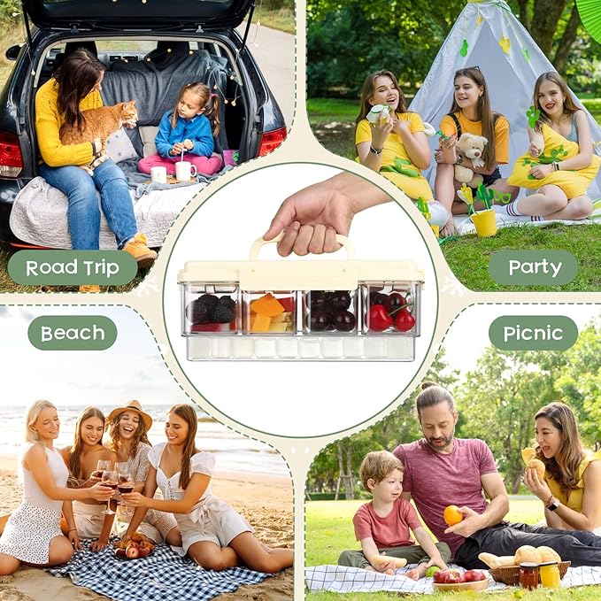 2 Pack Snackle Box Container with Ice Pack Snackle Box Container 4 Compartment Chilled Portable Divided Serving Tray Portable Travel Snack Organizer,Snack Box for Fruits Veggies, Keep Food Cold