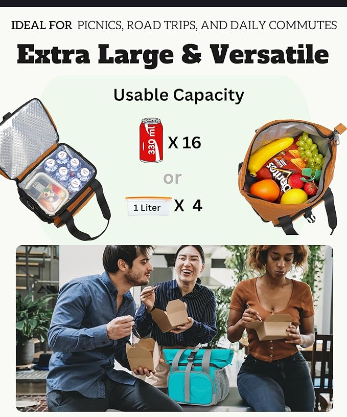 SUNNY BIRD Dual Compartment Lunch Bag Insulated Lunch Box for Women and Men (Brown)