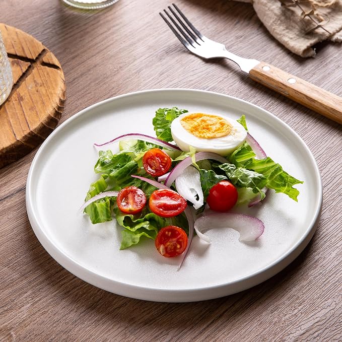 AmorArc Stoneware Dinnerware Sets for 4,Reactive Ceramic Plates and Bowls Set,Highly Chip and Crack Resistant | Dishwasher & Microwave Safe | Round Dishes Set Service for 4 (12pc)