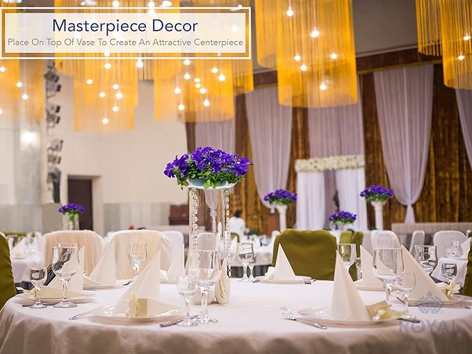 Royal Imports 9" Clear Plastic Saucer Plant Drip Tray, Low Pie Plate, Floral Flower Dish, Wedding, Party, Home and Holiday Decor, 6 Pack