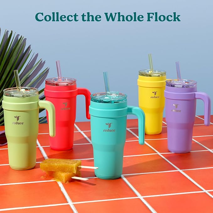 Reduce 24 oz Stainless Steel Tumbler with Handle - Dual-Wall Vacuum Insulated Travel Mug, Sweat-Proof Lid & Reusable Straw - Keeps Drinks Cold for 24 Hrs, Fits Cupholders, Dishwasher Safe-Purple Punch