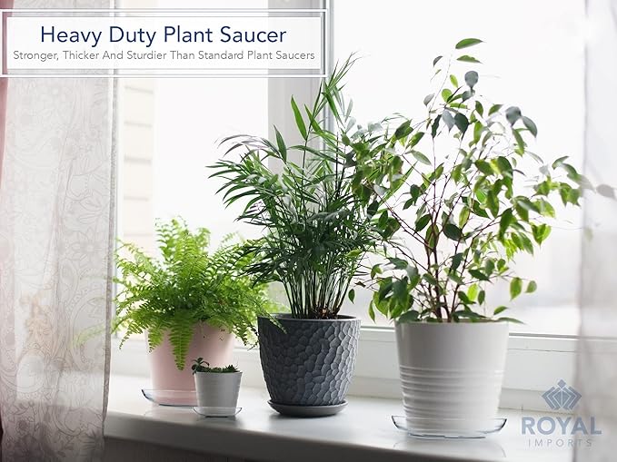 Royal Imports 9" Clear Plastic Saucer Plant Drip Tray, Low Pie Plate, Floral Flower Dish, Wedding, Party, Home and Holiday Decor, 24 Pack