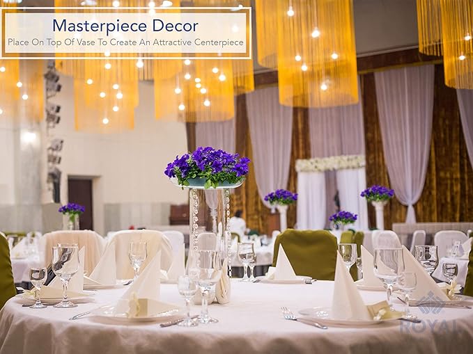 Royal Imports 11" Clear Plastic Saucer Plant Drip Tray, Low Pie Plate, Floral Flower Dish, Wedding, Party, Home and Holiday Decor, 6 Pack