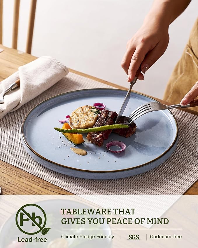 Famiware Annecy Plates and Bowls Sets, 12 Pieces Dinnerware Sets, Microwave and Dishwasher Safe Dishes Set for 4, Chip and Scratch Resistant, Reactive Blue