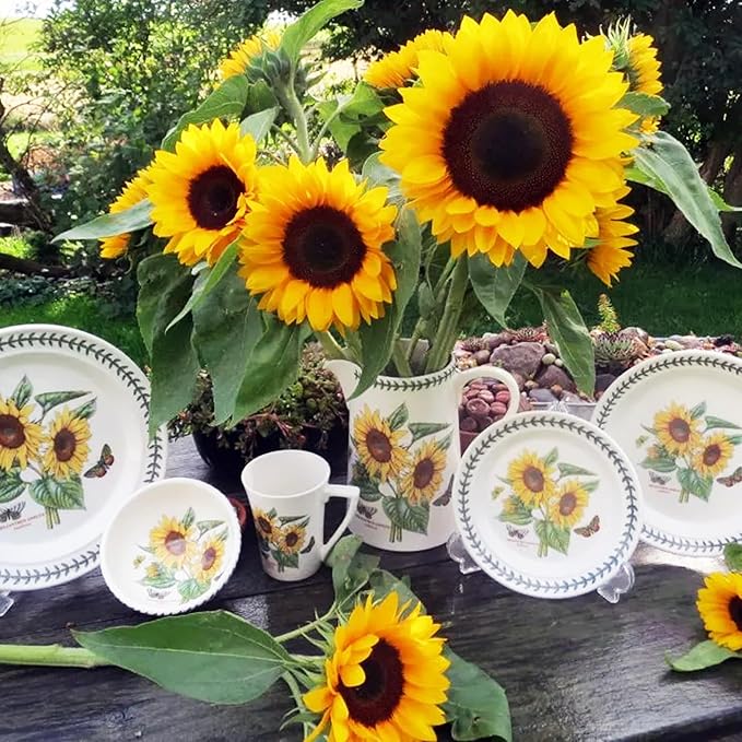 Portmeirion Botanic Garden 12" Entertaining Platter, Sunflower Motif - Durable Porcelain Tableware, Chip-Resistant Glaze, Dishwasher, Microwave, Freezer, Oven Safe - Elegant Farmhouse Serveware