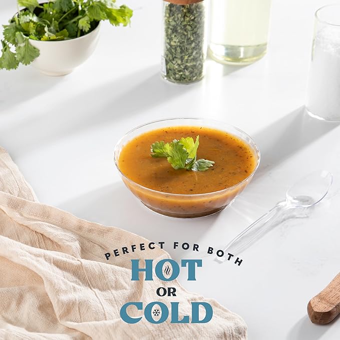 PLASTICPRO 240 Pack Crystal Like Clear Disposable Plastic Plates Dinner Dishes 10 ounce Bowls for Special Occasions Parties