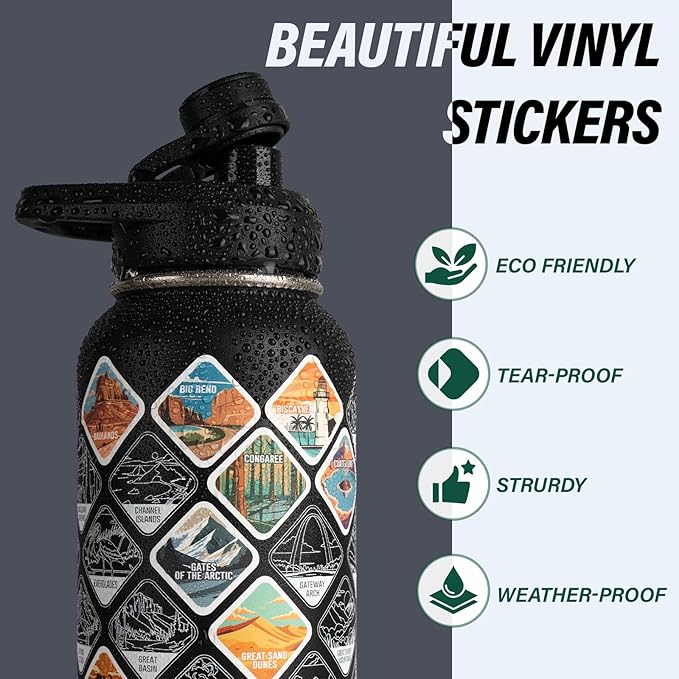 32 oz Insulated Water Bottle | Thickened Stainless Steel Vacuum Metal | Portable Sports Water Jug for Gym and Hiking with Straw, Carrier Bag, Handle Strap | BPA-Free 32 oz