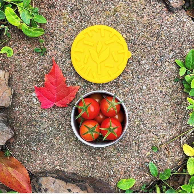 TAVVA 4 X 3 oz Stainless Steel Containers with Lids - Leakproof w/Silicone Lids - BPA Free - Dishwasher & Freezer Safe - Portable & Reusable - Small Snack Cups Dressing Containers