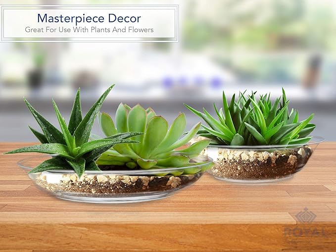 Royal Imports 8" Clear Plastic Saucer Plant Drip Tray, Low Pie Plate, Floral Flower Dish, Wedding, Party, Home and Holiday Decor, 6 Pack