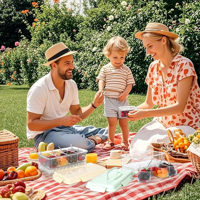 2 Pack Snackle Box Container with Ice Pack Snackle Box Container 4 Compartment Chilled Portable Divided Serving Tray Portable Travel Snack Organizer,Snack Box for Fruits Veggies, Keep Food Cold