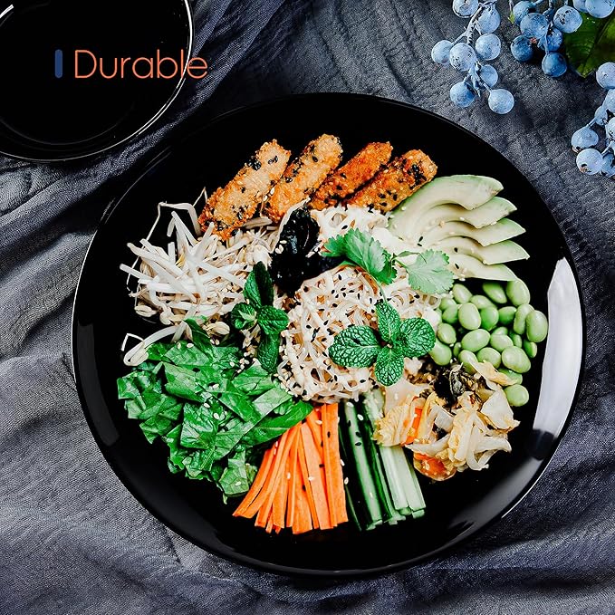 10.5 inchDinner Plate Set of 6, Lightweight Round Opal Glass White Dinnerware Plates, Dishwasher and Microwave Safe