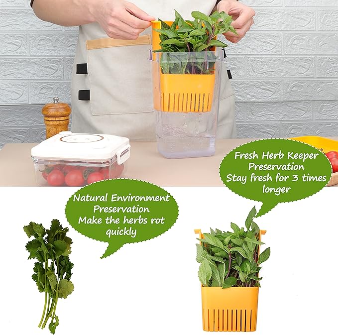 3 Pack Fresh Herb Keeper for Refrigerator, Clear BPA-Free Herb Saver, Storage Container for Cilantro, Parsley, Thyme, Mint & Asparagus, Preserver Keeps Fresh Herbs, Green & Blue & Orange